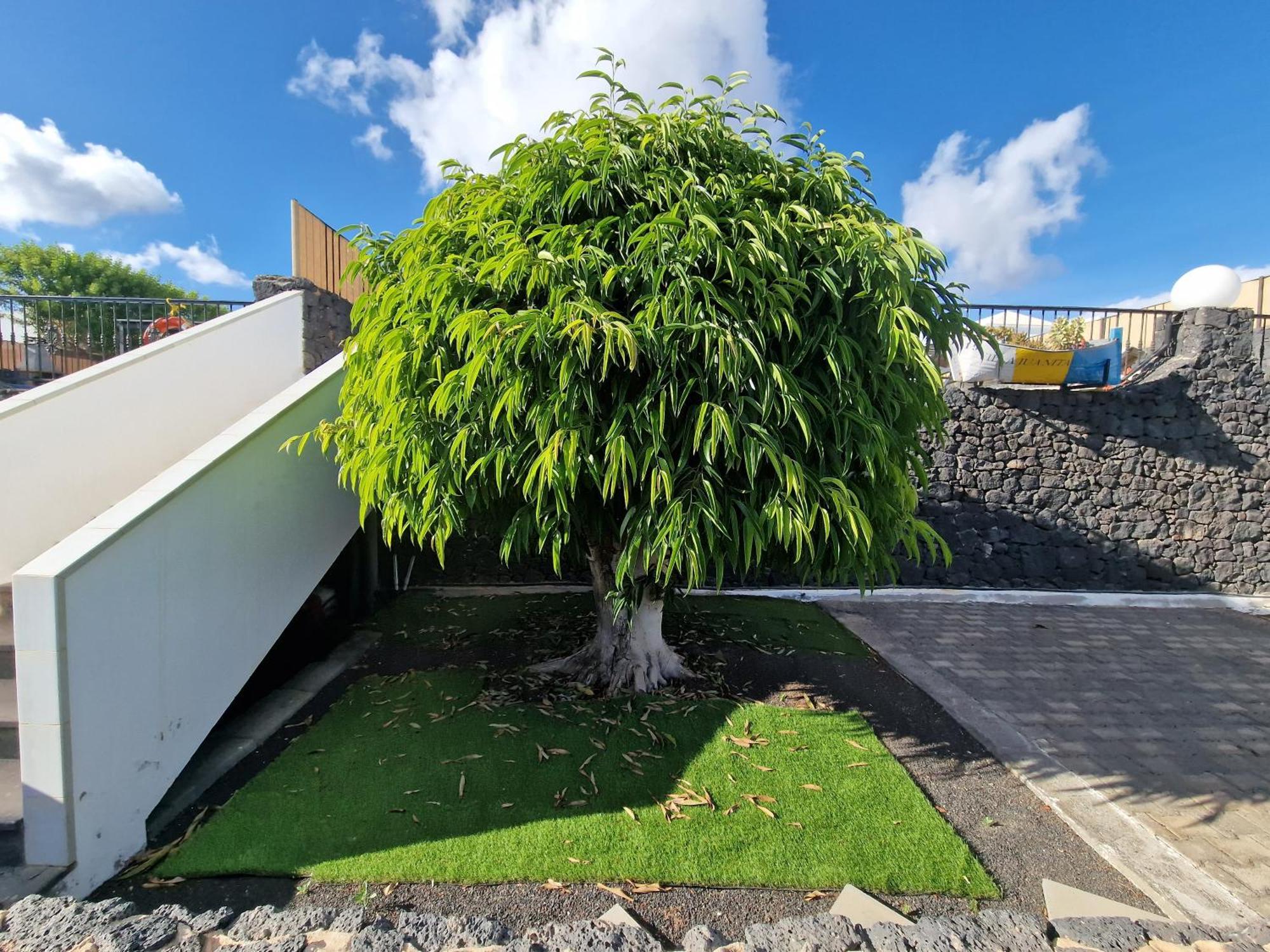 Villa Juanita, Puerto Del Carmen, Lanzarote 티아즈 외부 사진